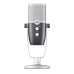 AKG Ara C22 Professional Two-Pattern USB Condenser Microphone