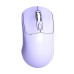 Proton M56S Silent Dual Mode Wireless Mouse