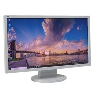 NEC LCD-AS223WM 21.5 inch Full HD Monitor (Used)