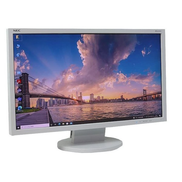 NEC LCD-AS223WM 21.5 inch Full HD Monitor (Used)